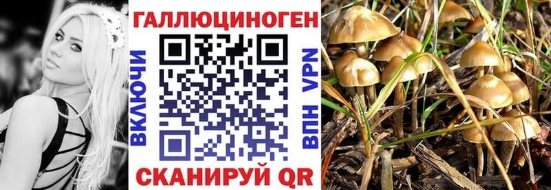 Псилоцибиновые грибы MAGIC MUSHROOMS  ссылка на мегу онион  Брянск 